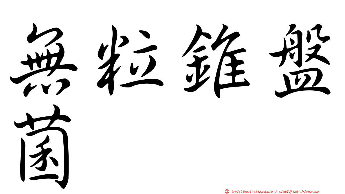 無粒錐盤菌