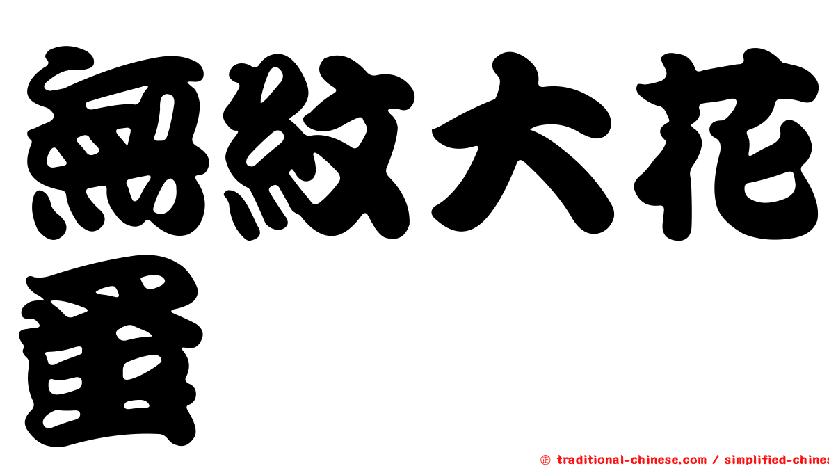 無紋大花蚤
