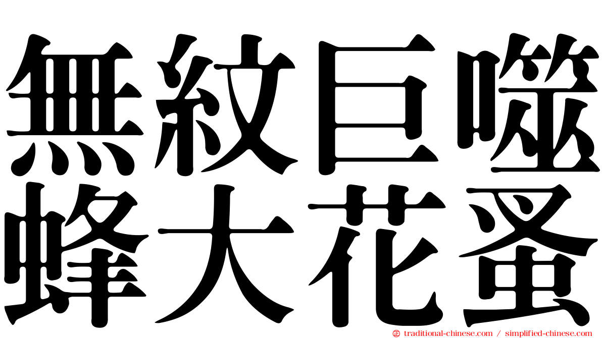 無紋巨噬蜂大花蚤