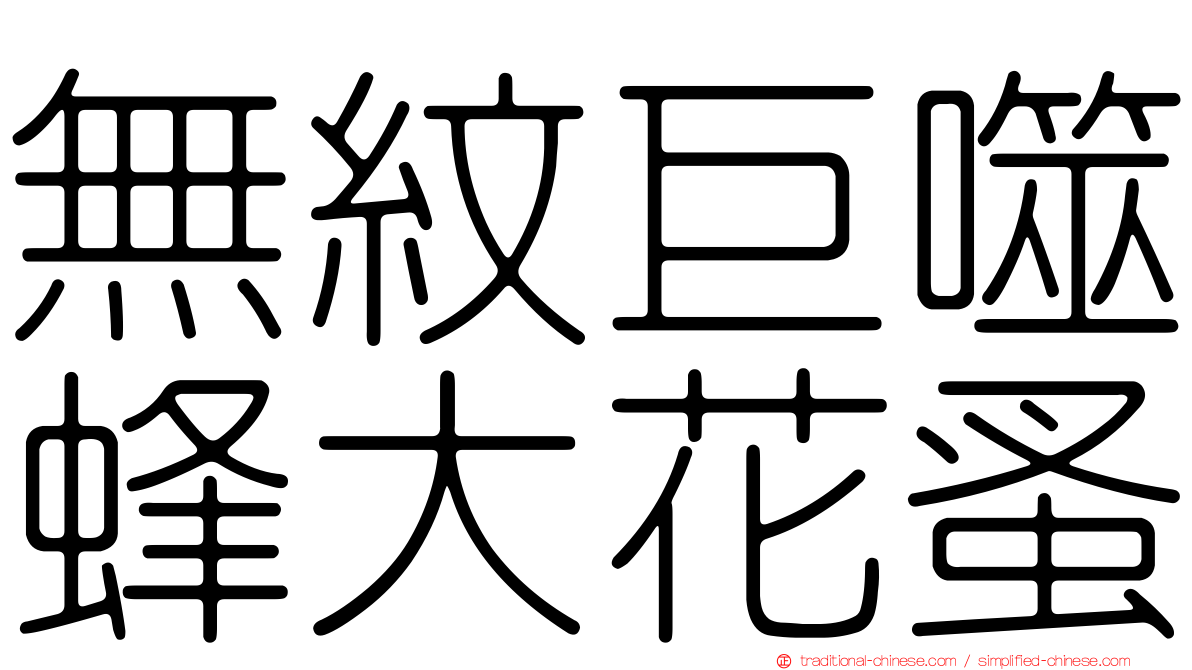 無紋巨噬蜂大花蚤
