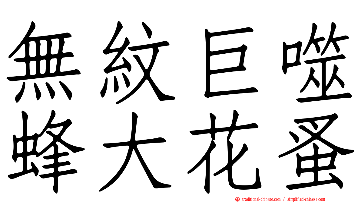 無紋巨噬蜂大花蚤
