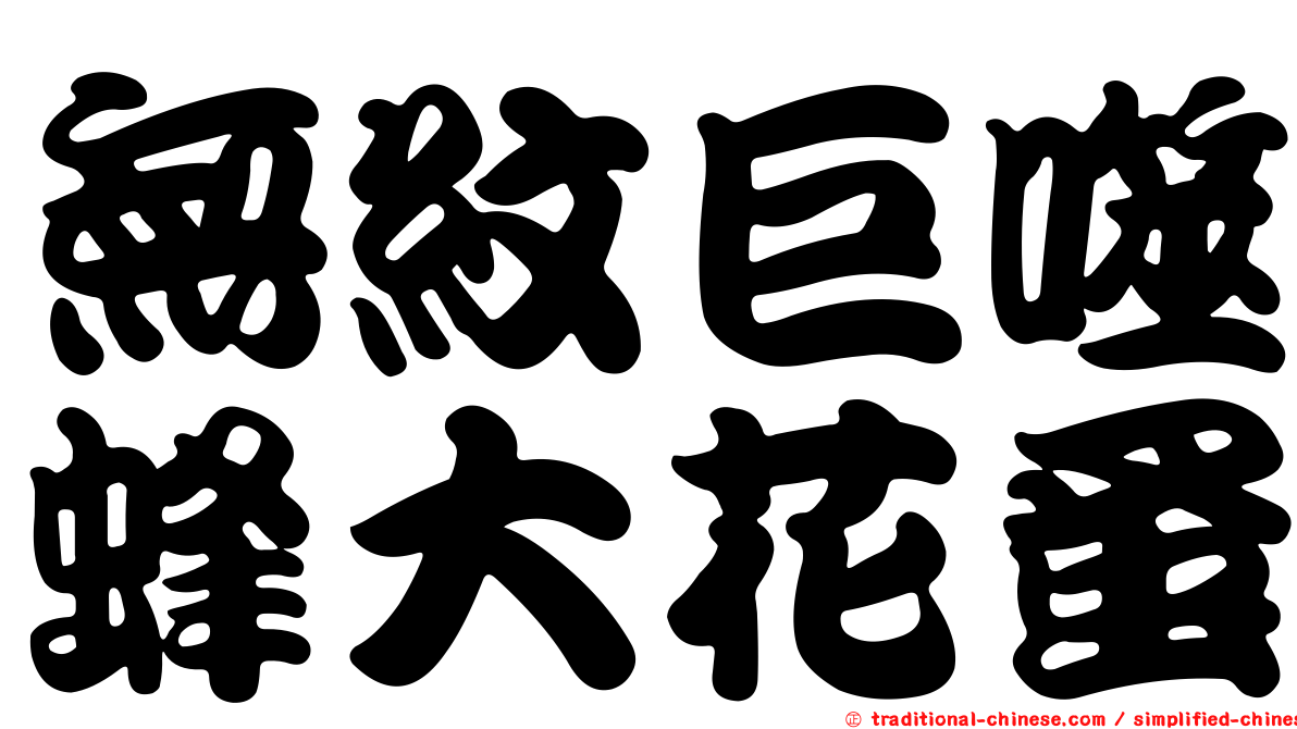 無紋巨噬蜂大花蚤