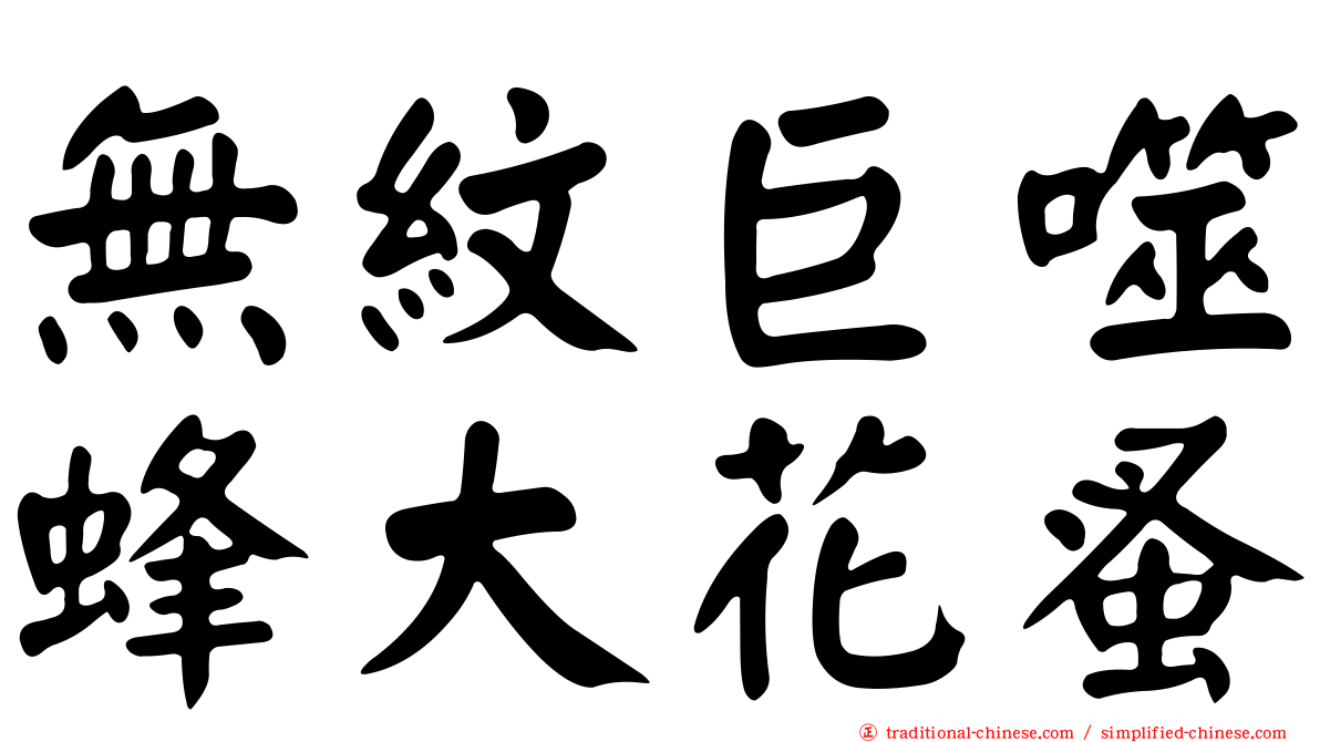 無紋巨噬蜂大花蚤