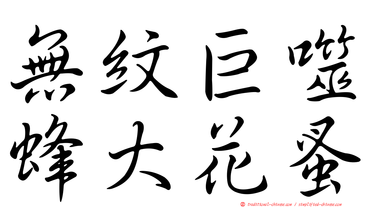 無紋巨噬蜂大花蚤