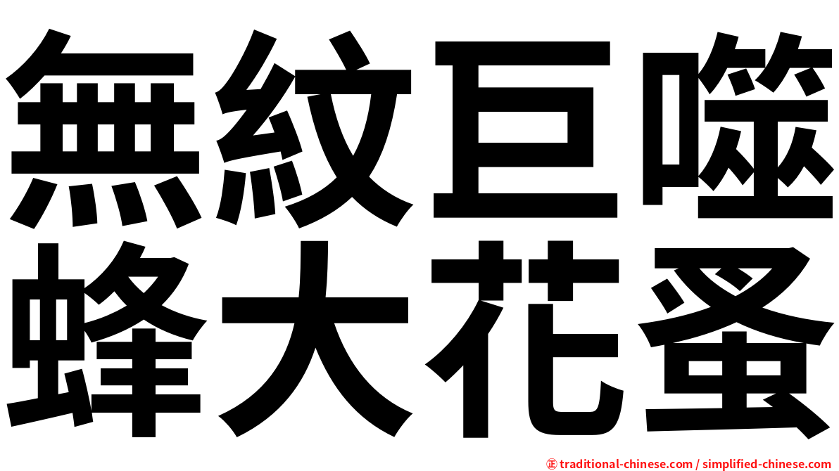 無紋巨噬蜂大花蚤
