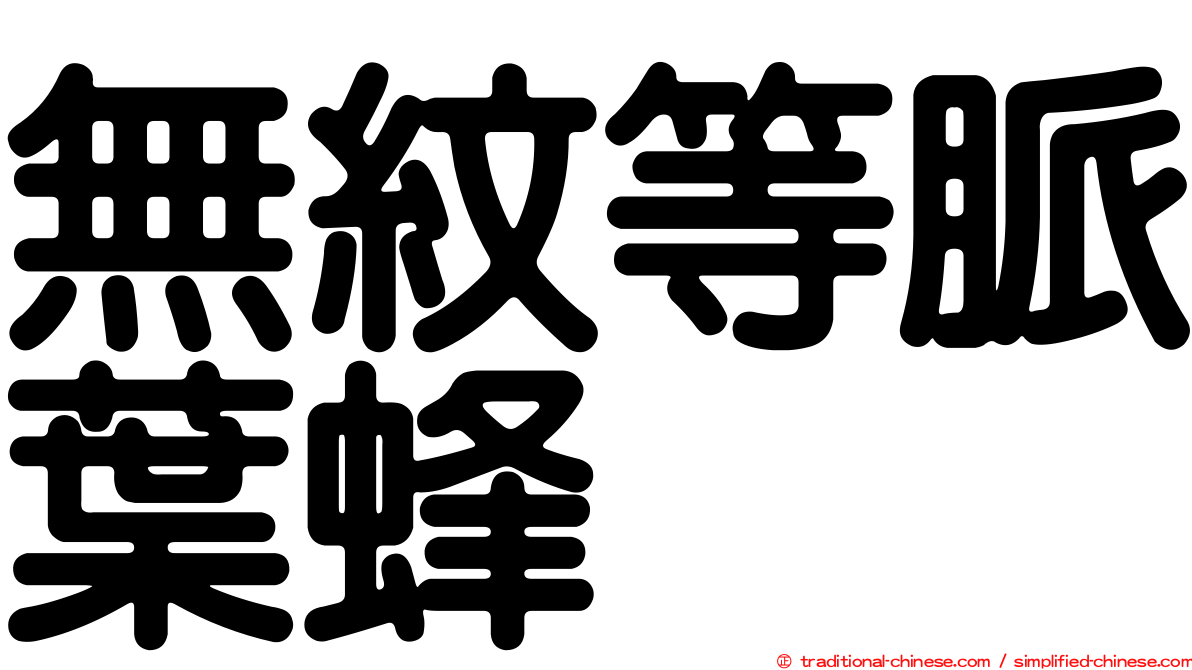 無紋等脈葉蜂