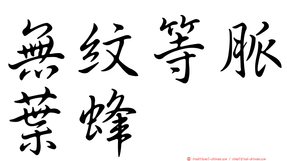 無紋等脈葉蜂