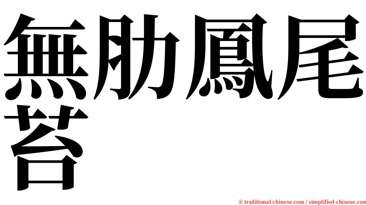 無肋鳳尾苔 serif font