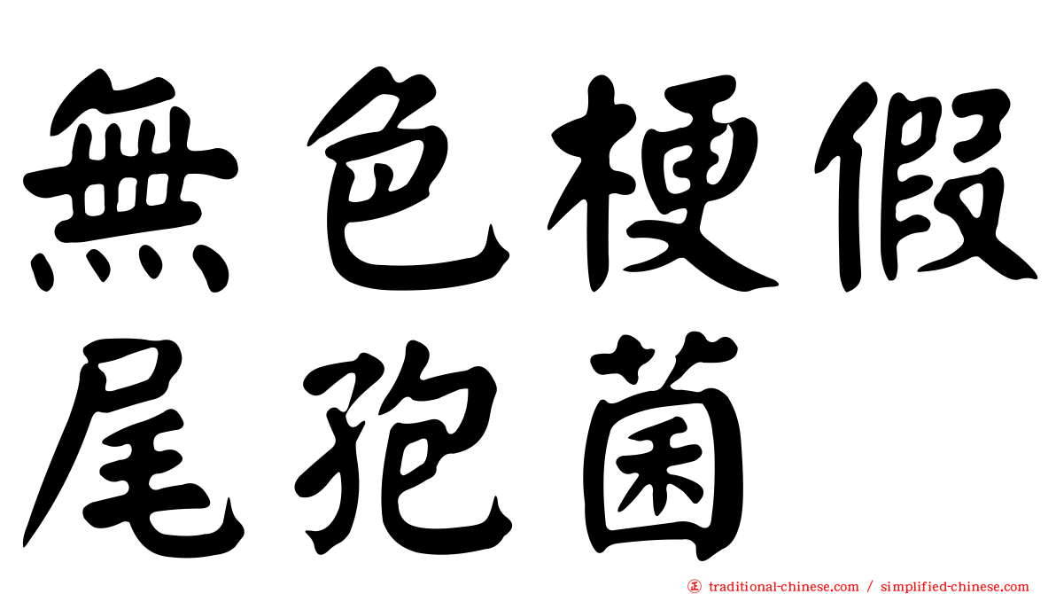 無色梗假尾孢菌