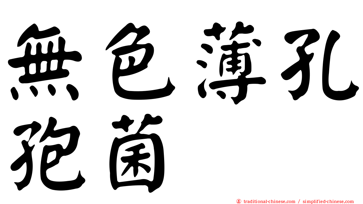 無色薄孔孢菌