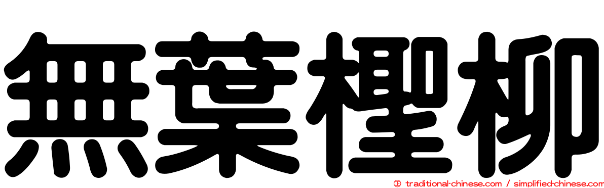 無葉檉柳