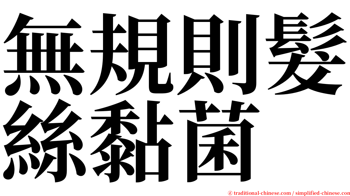 無規則髮絲黏菌 serif font