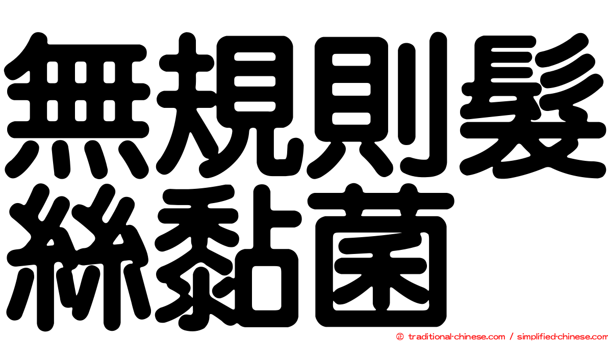 無規則髮絲黏菌
