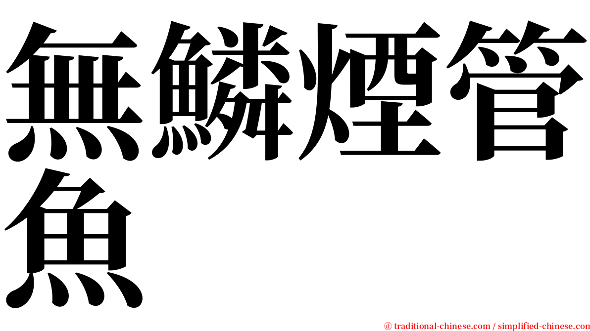無鱗煙管魚 serif font