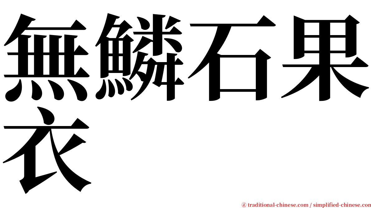 無鱗石果衣 serif font