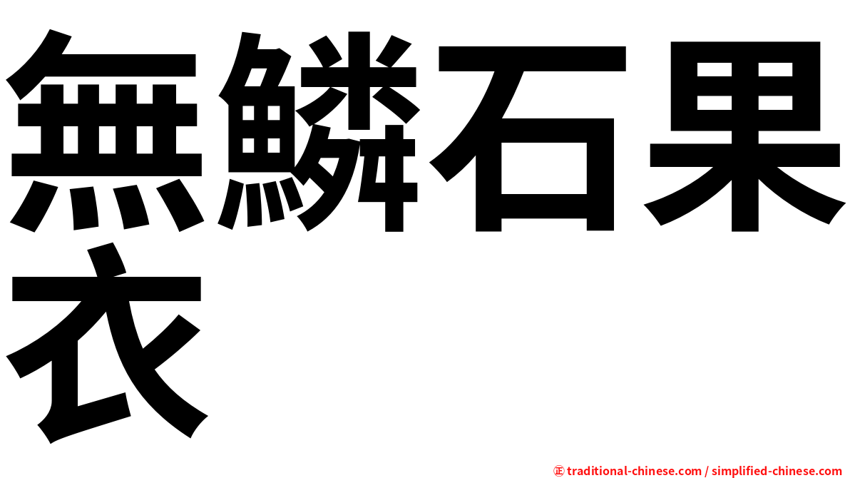 無鱗石果衣