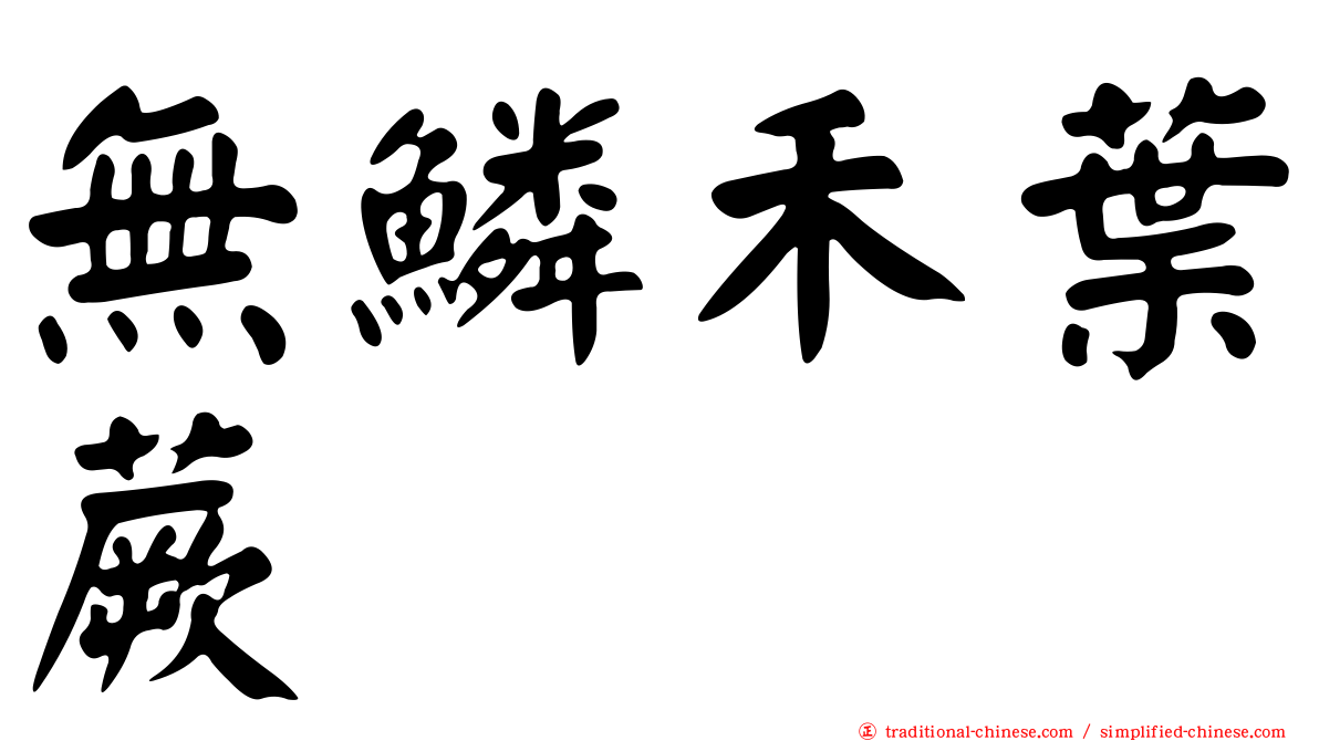 無鱗禾葉蕨