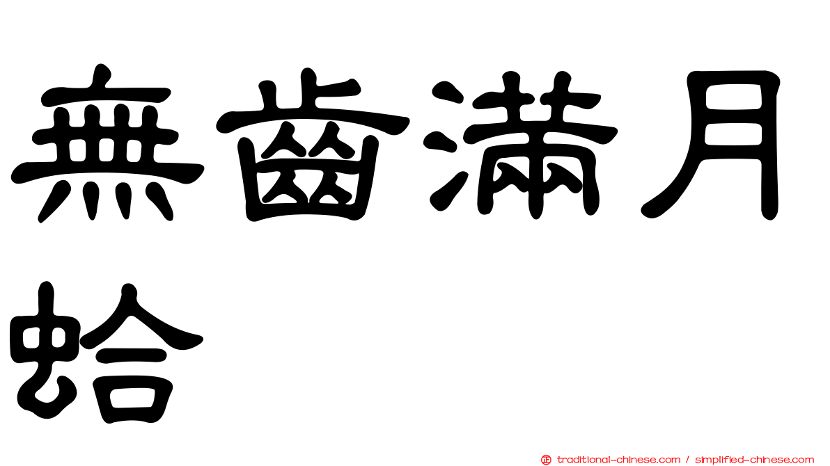 無齒滿月蛤