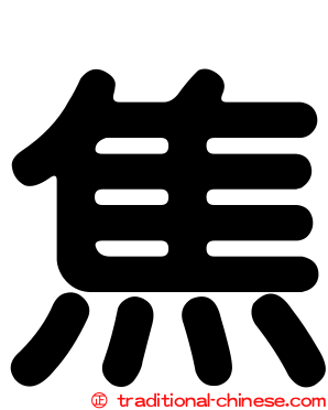 焦