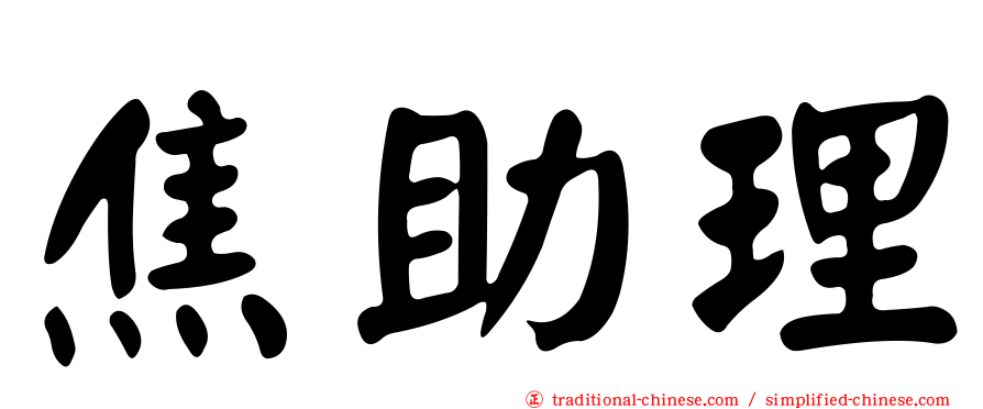 焦助理