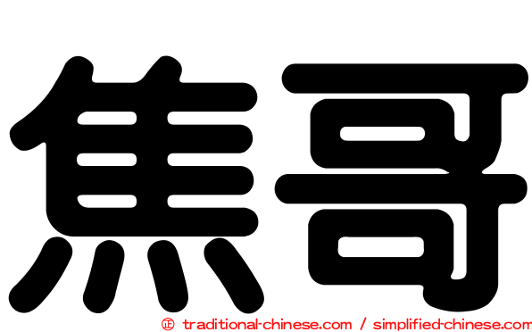 焦哥
