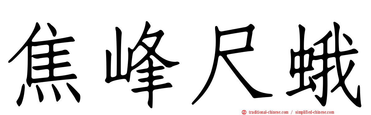 焦峰尺蛾