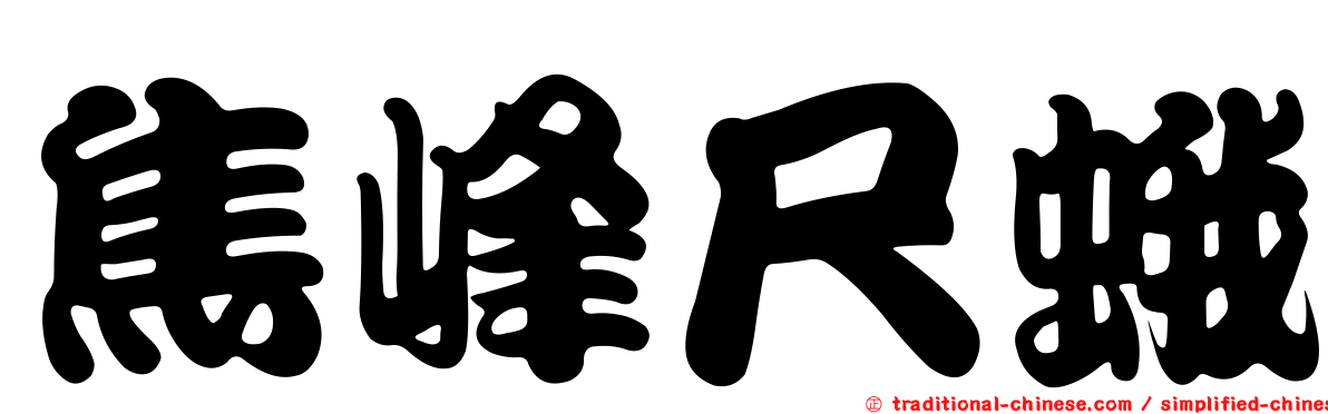 焦峰尺蛾