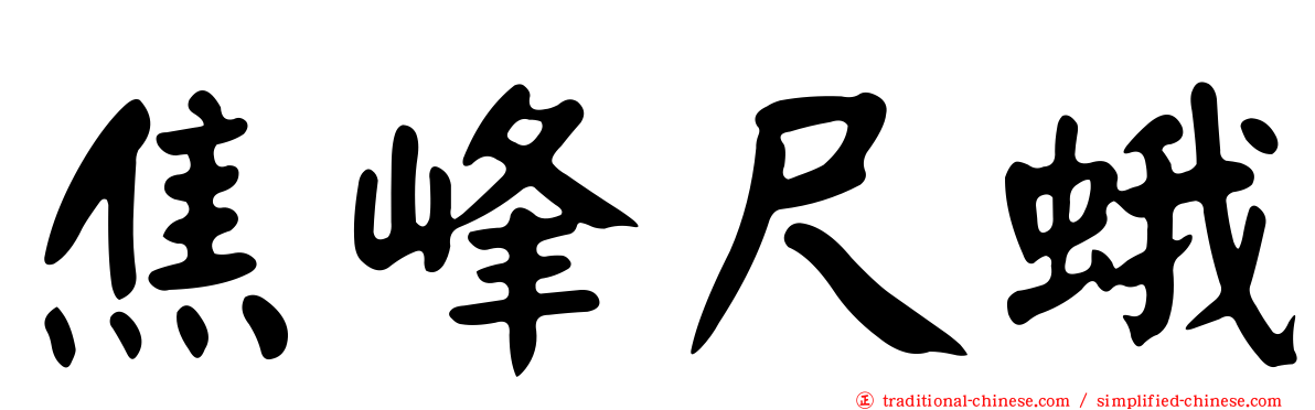 焦峰尺蛾