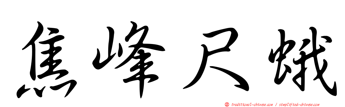 焦峰尺蛾
