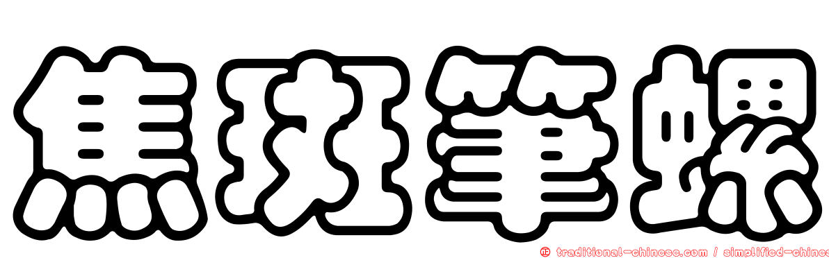 焦斑筆螺