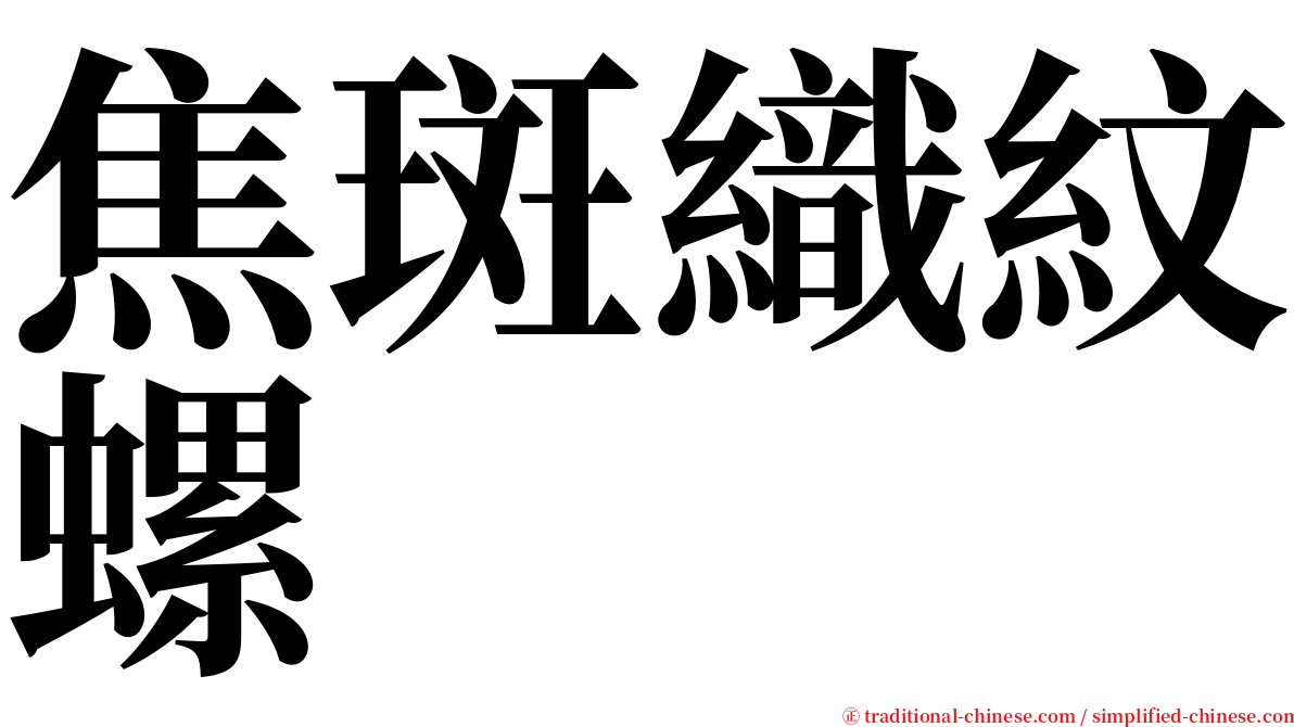 焦斑織紋螺 serif font