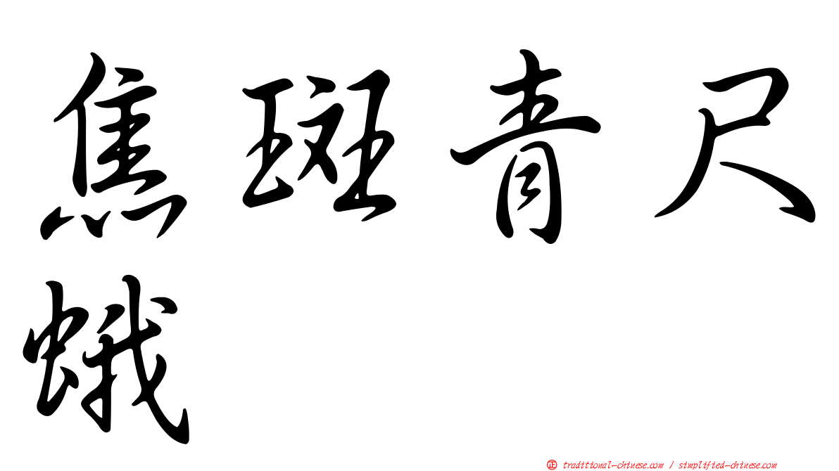 焦斑青尺蛾