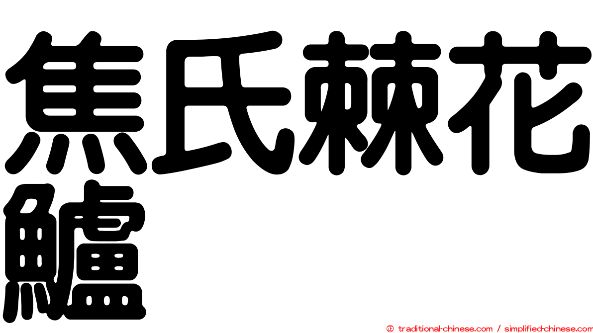 焦氏棘花鱸