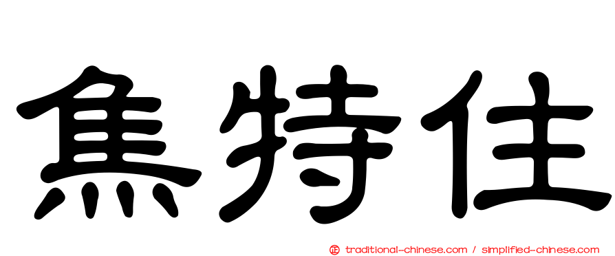 焦特住