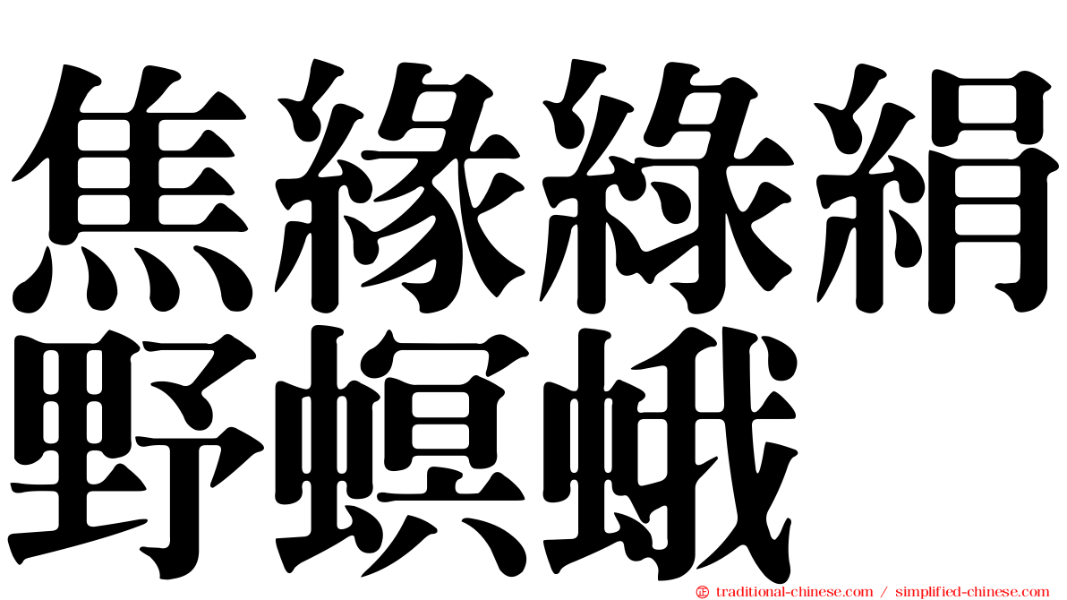 焦緣綠絹野螟蛾