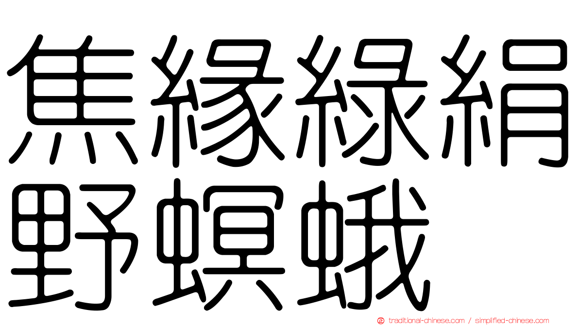 焦緣綠絹野螟蛾