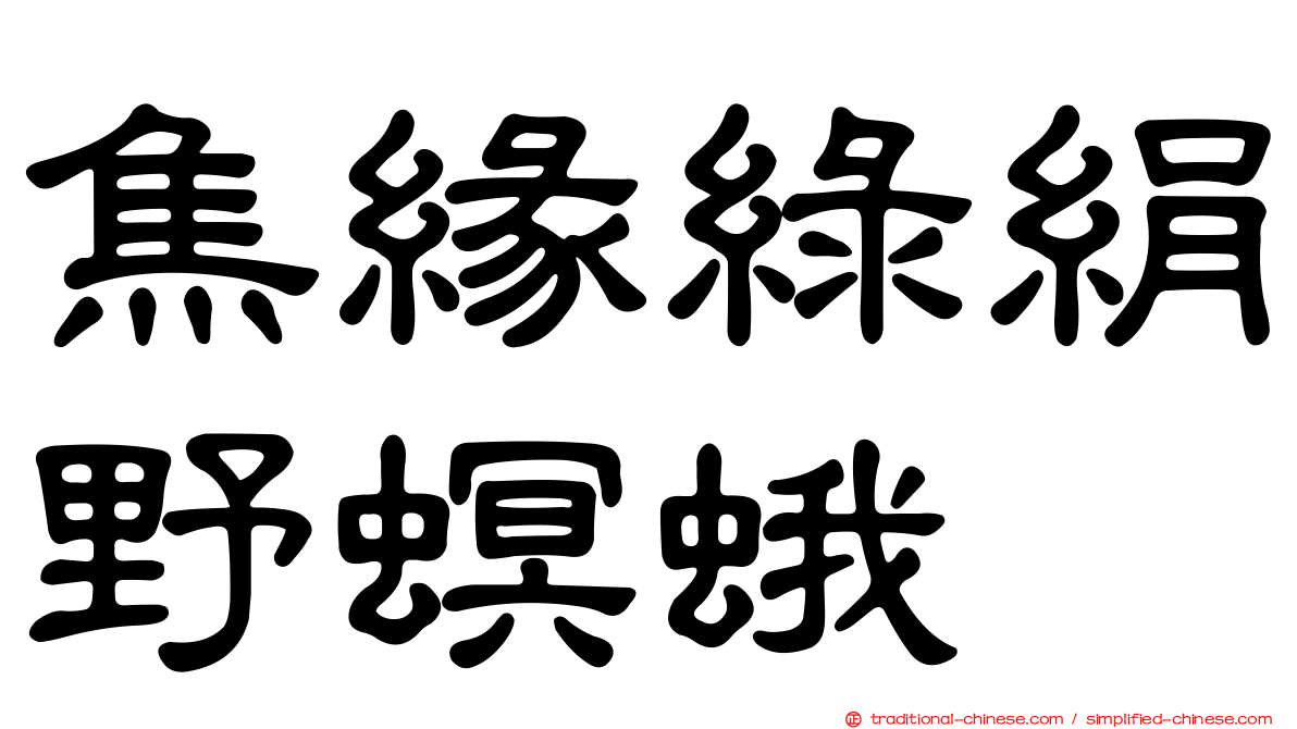 焦緣綠絹野螟蛾