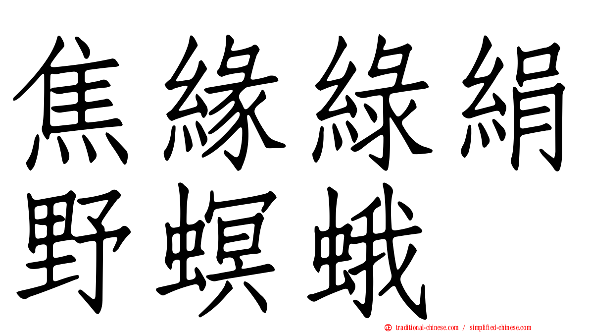 焦緣綠絹野螟蛾