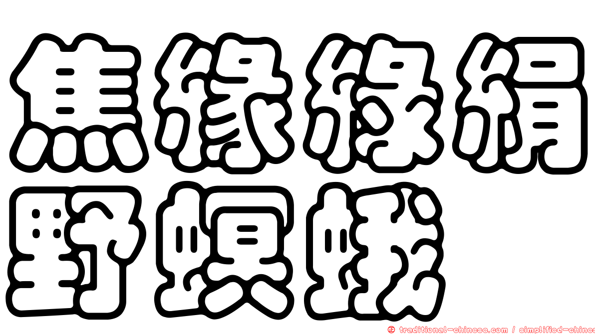 焦緣綠絹野螟蛾