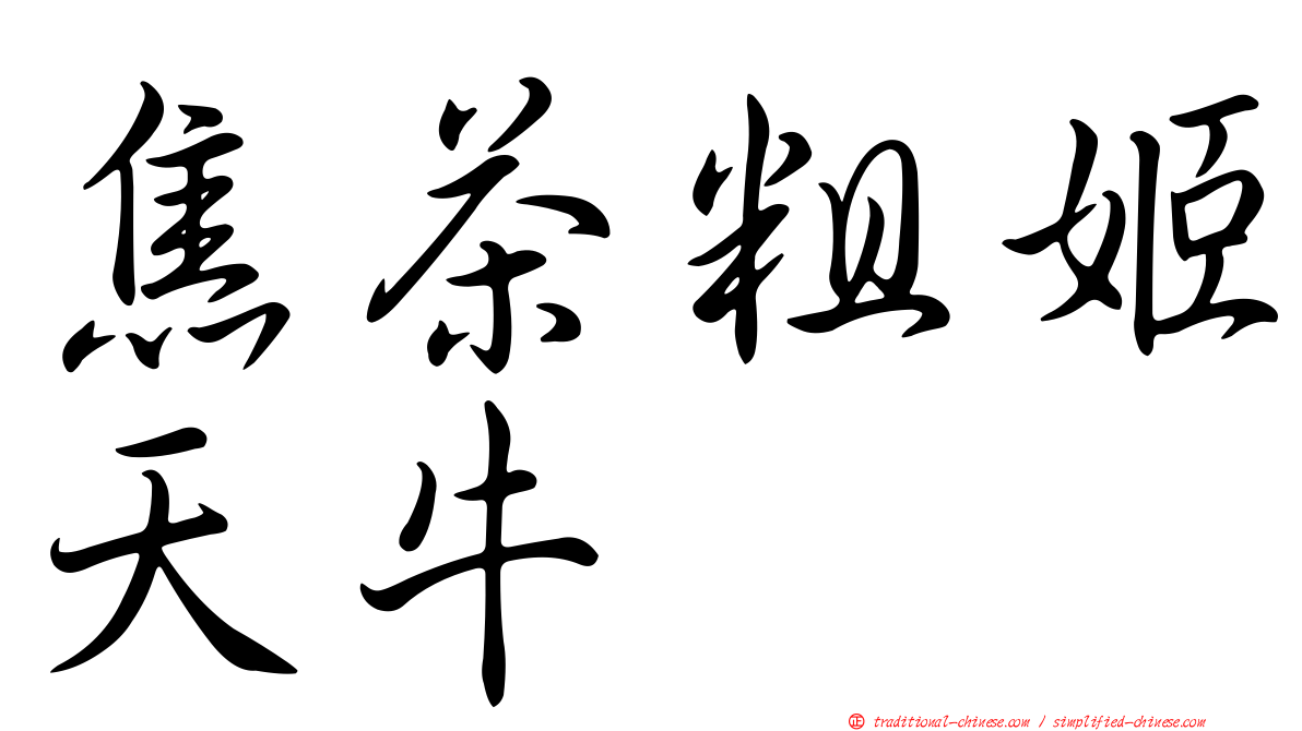 焦茶粗姬天牛