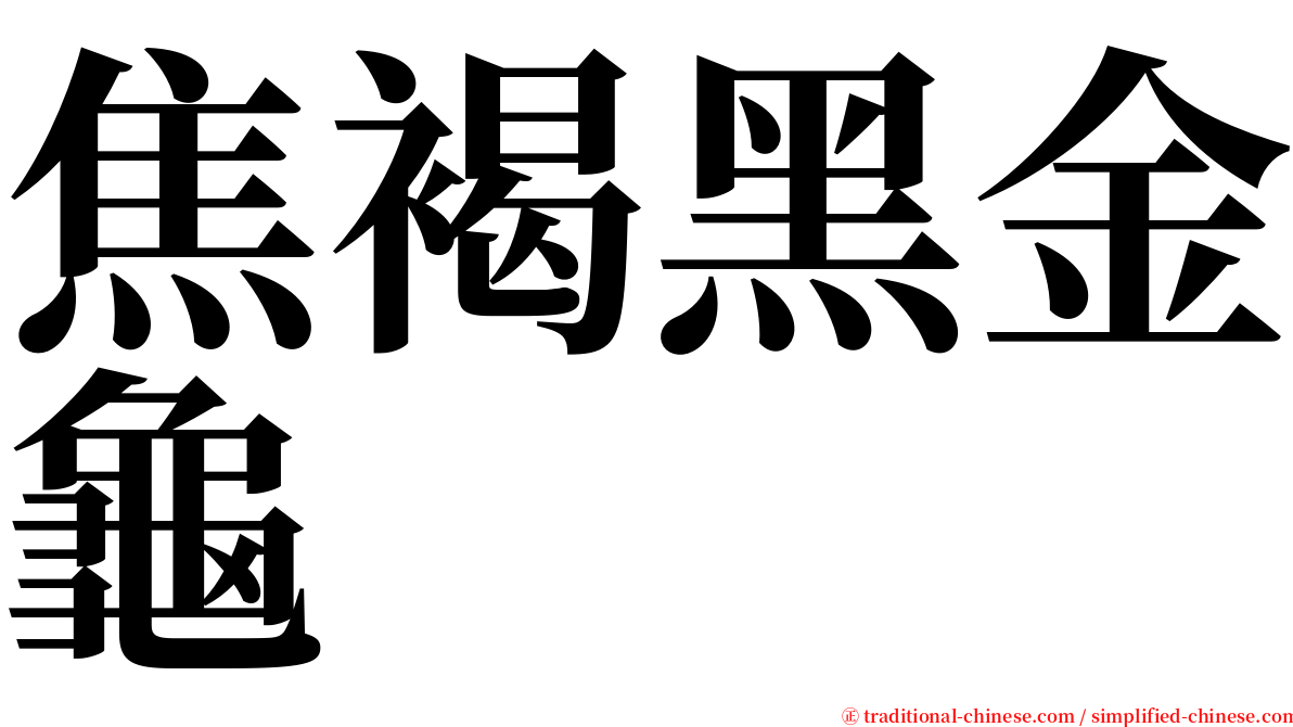 焦褐黑金龜 serif font