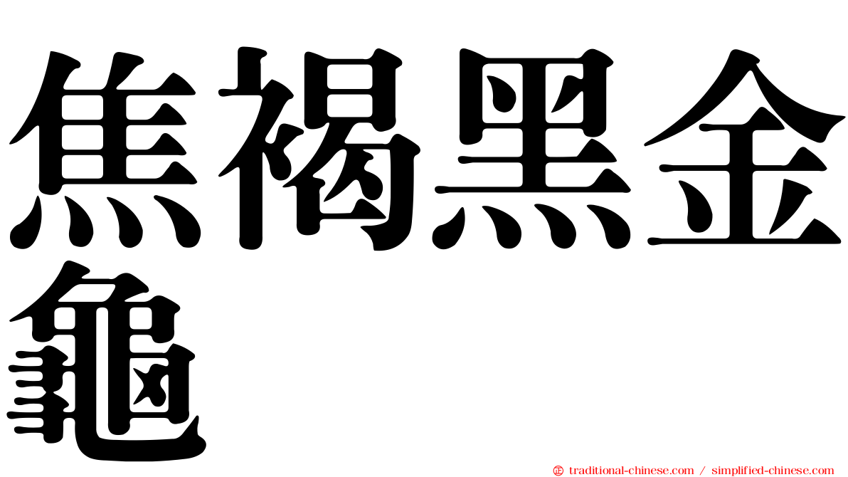 焦褐黑金龜