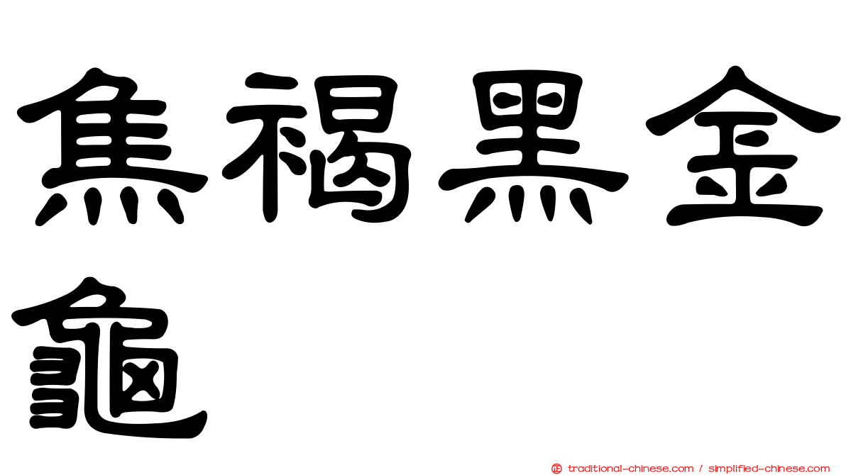 焦褐黑金龜