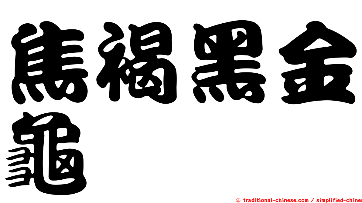 焦褐黑金龜