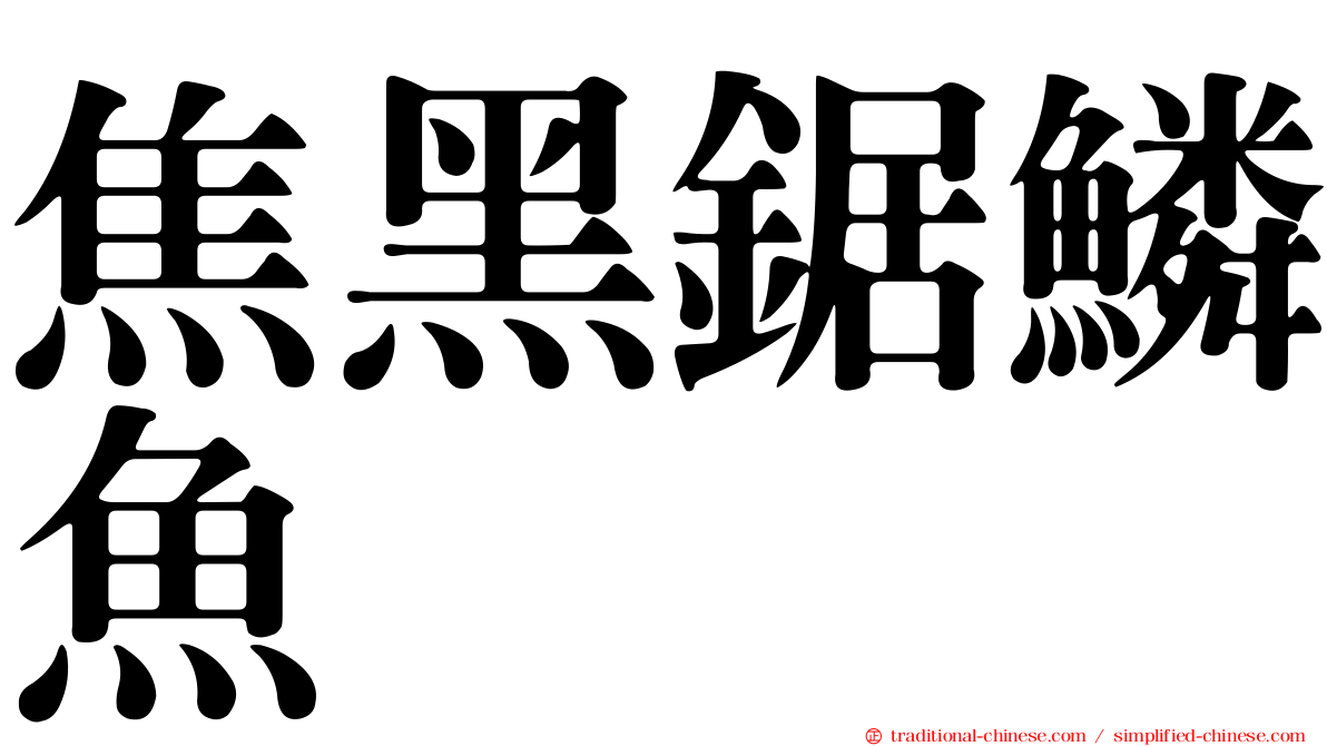 焦黑鋸鱗魚