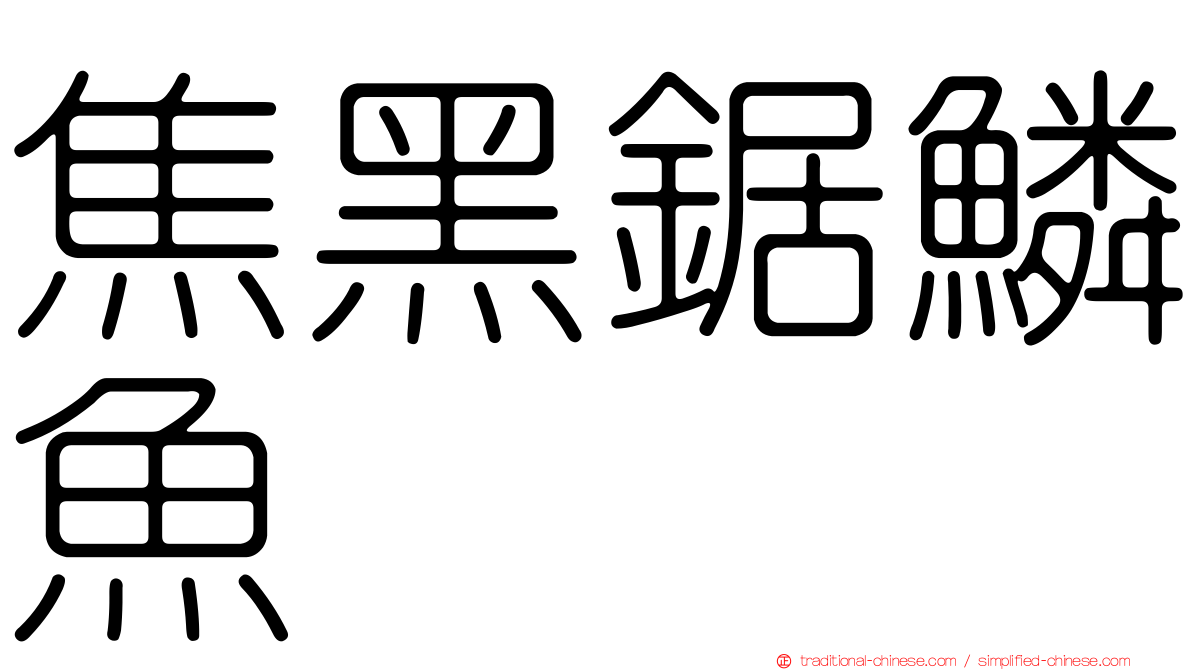 焦黑鋸鱗魚
