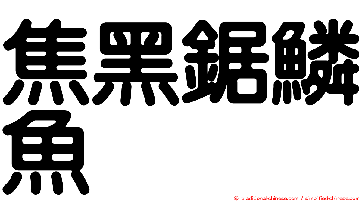 焦黑鋸鱗魚