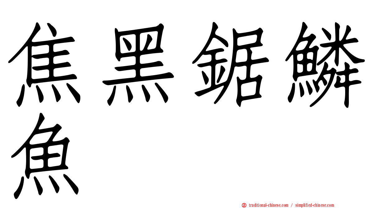 焦黑鋸鱗魚