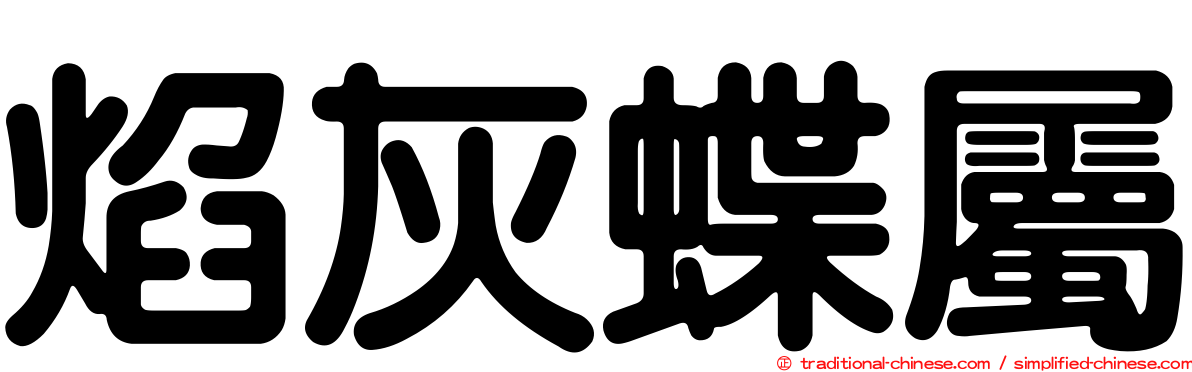 焰灰蝶屬