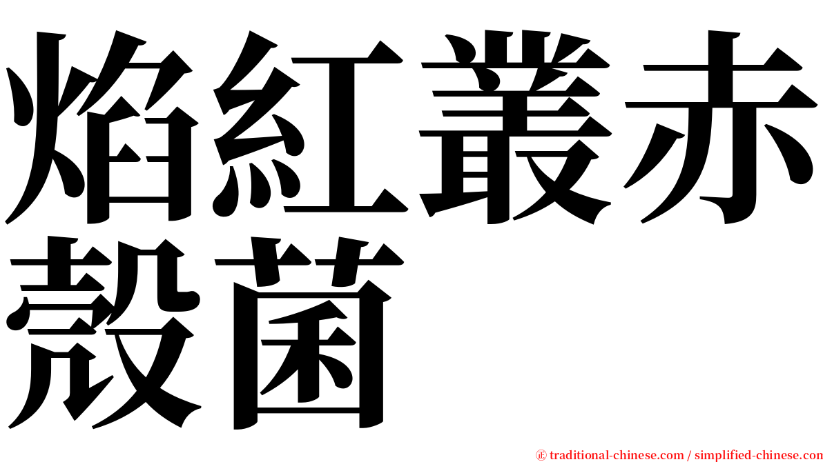 焰紅叢赤殼菌 serif font